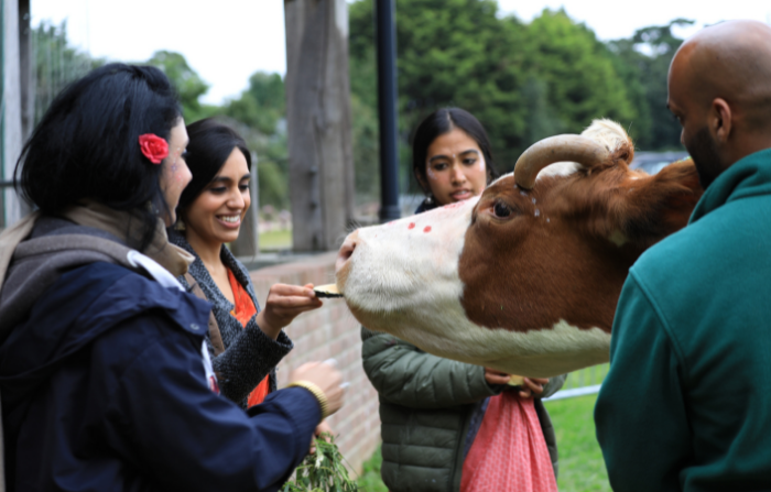 Bhaktivedanta Manor holds annual Janmashtami festival