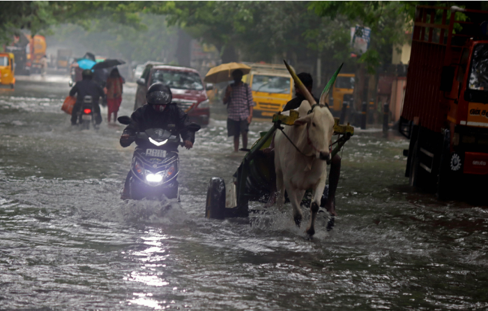 Red alert in Tamil Nadu over heavy rain; 5 killed