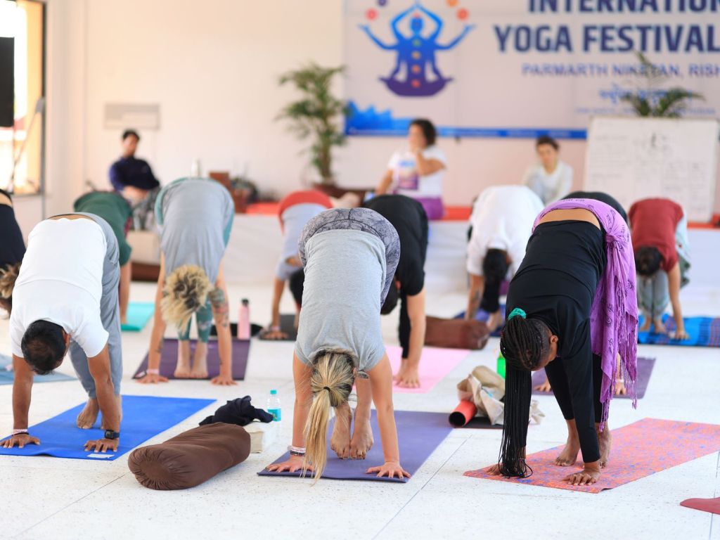 International Yoga Festival