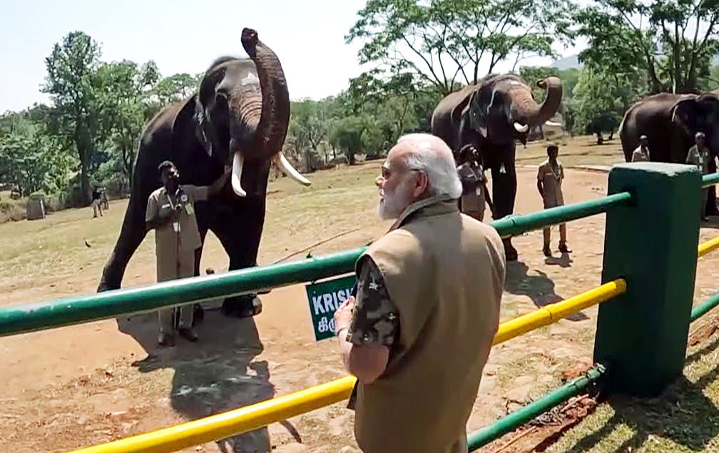 Prime minister Narendra Modi at Theppakadu elephant camp as he visited Mudumalai Tiger Reserve in the southern Indian state of Tamil Nadu on Sunday, April 9, 2023. (ANI Photo)