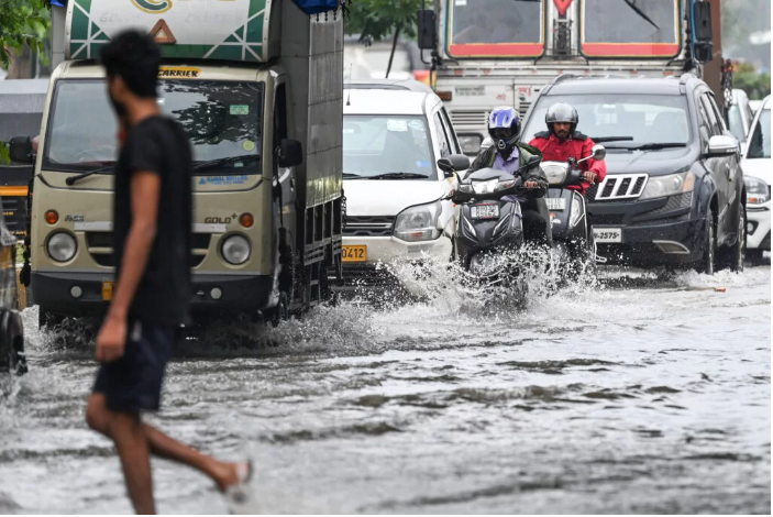 Floods ease in northeast India but leave scores dead & threaten wildlife