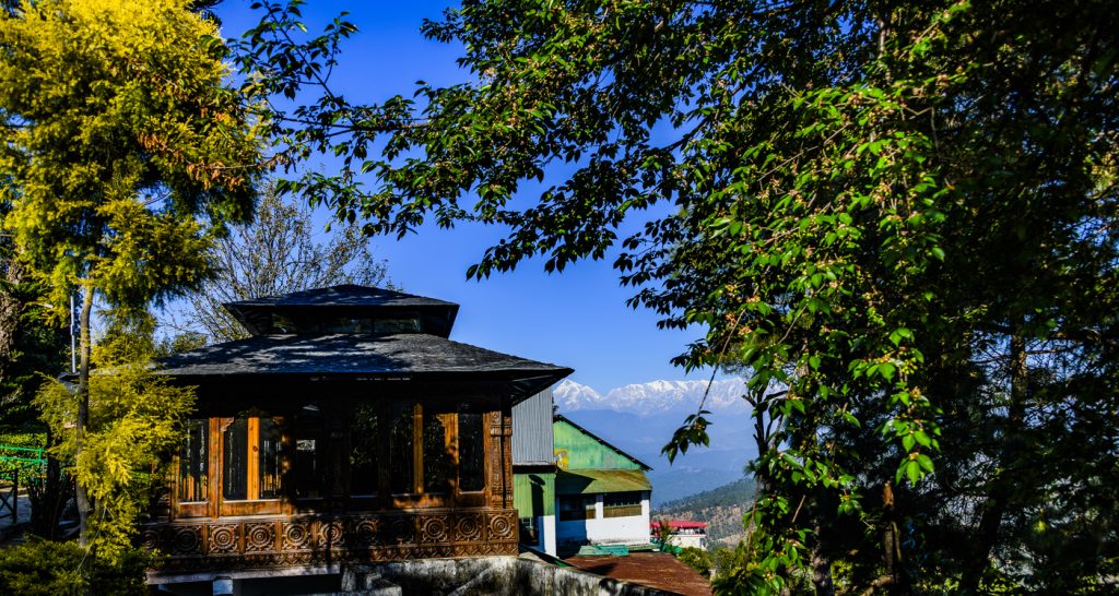 5 reasons to visit Binsar Wildlife Sanctuary: A new destination for 'slow tourism' in the Kumaon